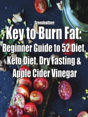 cover image of Key to Burn Fat